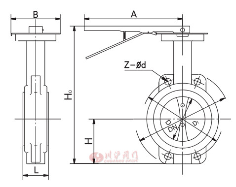 D71X_鑄鐵對夾蝶閥_結(jié)構(gòu)圖