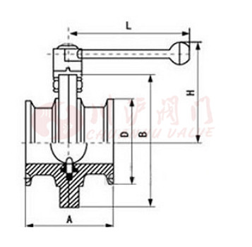 衛生級蝶閥結構圖