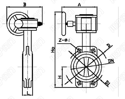 D71X_鑄鐵對夾蝶閥_結(jié)構(gòu)圖
