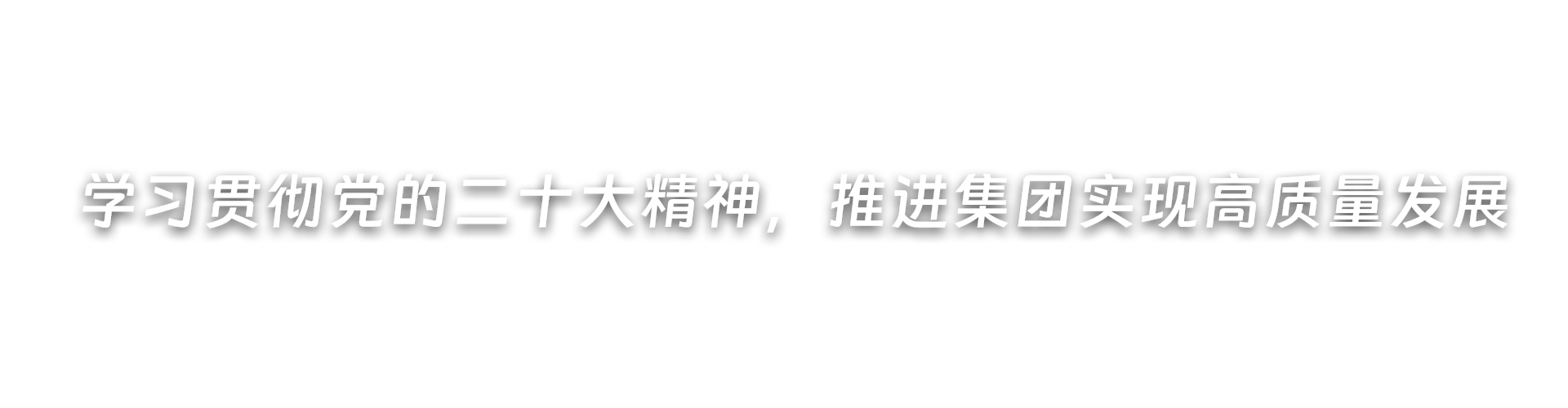 深入开展党纪学习教育，推进集团高质量发展